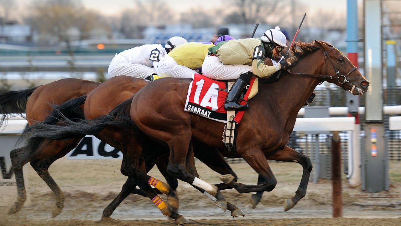 Samraat wins Gotham Stakes, earns Kentucky Derby slot